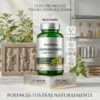 Ashwagandha vitaminas premium